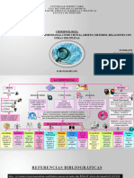 Mapa Conceptual Criminología