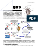 Chagas