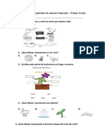 Pruebas Diagnosticas