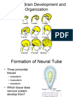 development power point slides