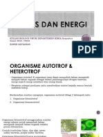 Sintesis Energi - 1