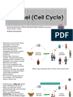 Siklus Sel (Cell Cycle)