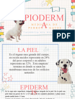 PIODERMA