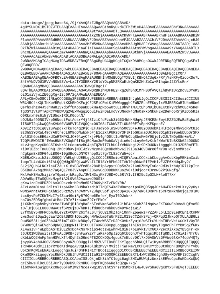Image Data in Base64 Format | PDF | Computers