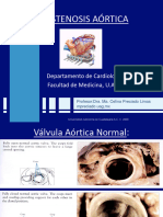 13 Estenosis Aortica 2010