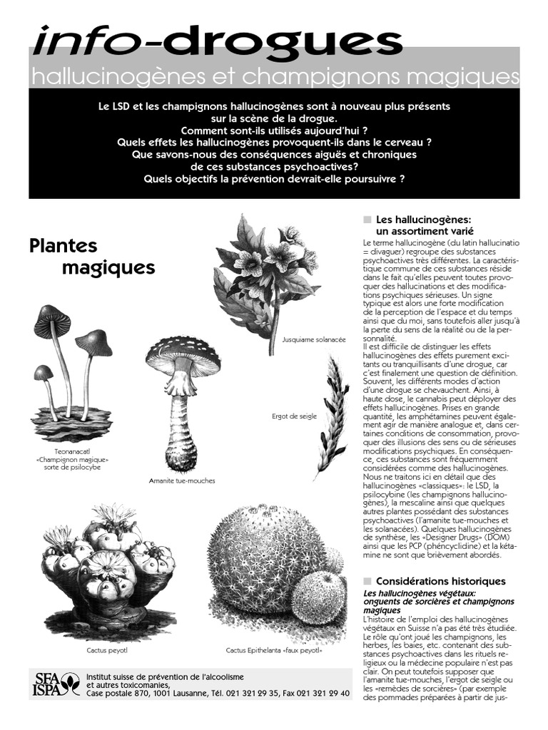 Hallucin LSD | PDF