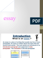 Essay