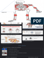 Medula Óssea Vermelha Onde Fica - Pesquisa Google