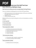 SAP Testing Phases