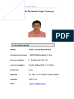 Curriculum Vitae - Fabian Mejia