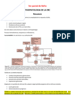 Erc Fisiopatologia