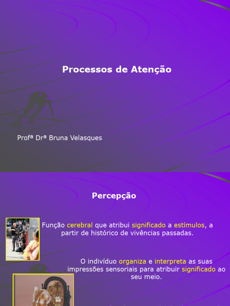 Processos de aten o 01 pdf