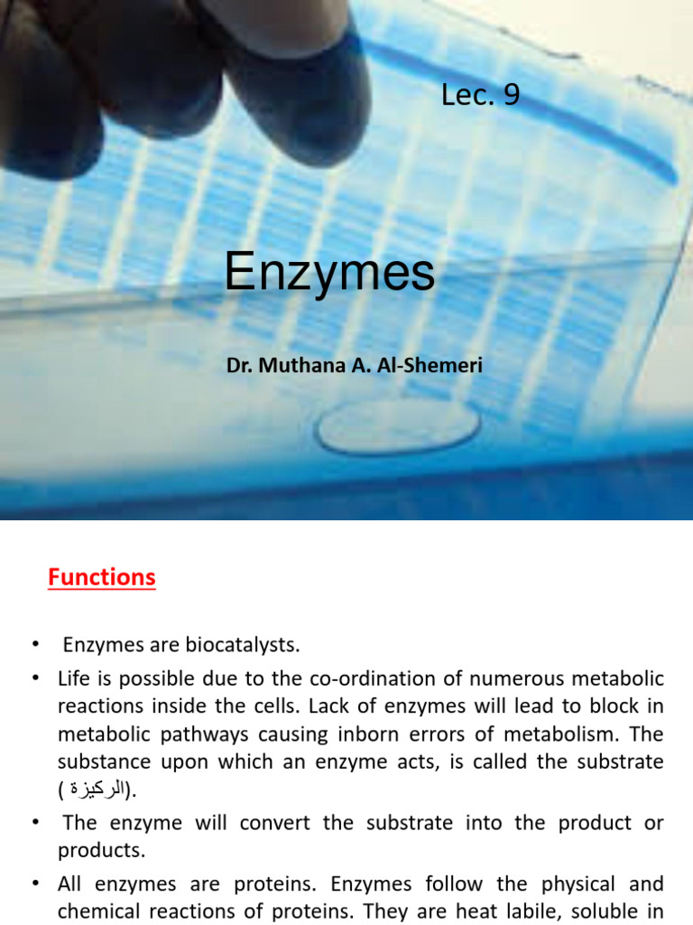 Understanding Enzymes and Their Functions | PDF | Enzyme | Hydrolysis