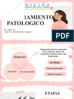 Obstetricia Alumbramiento Patologico Tema 29 Sindy Leal