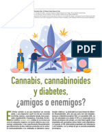 Cannabis Cannabinoides y Diabetes ¿Amigos o Enemigos
