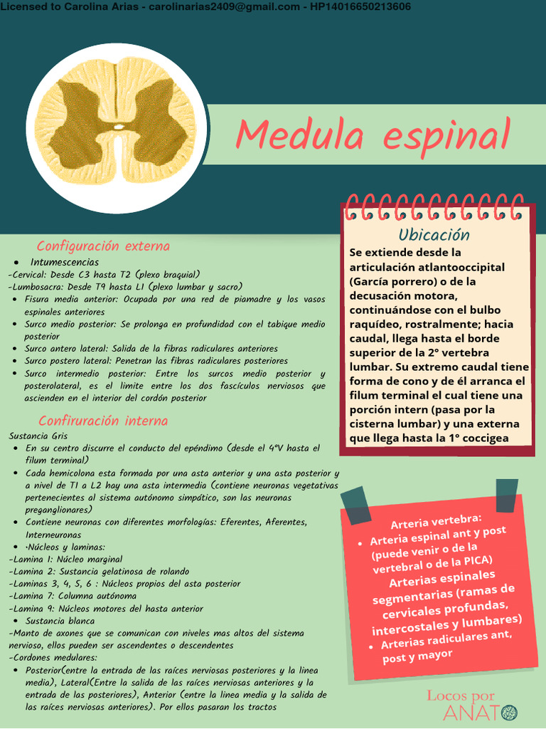 Flash+Cards+de+Neuro+ 2 - Unlocked | PDF