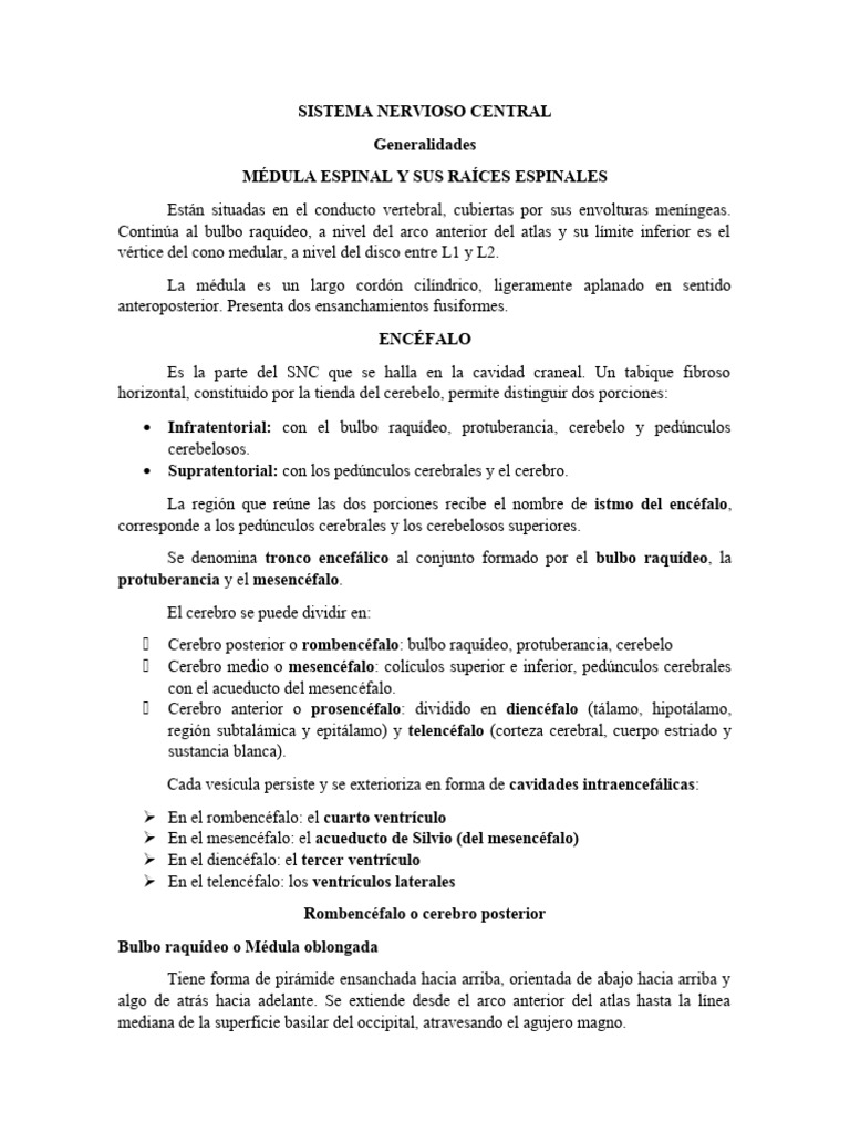 generalidades-snc-descargar-gratis-pdf-cerebelo-cerebro