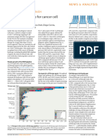 Upadhaya Et Al 2021 The Clinical Pipeline For Cancer Cell Therapies