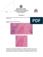 PORTIFÓLIO - Patologia
