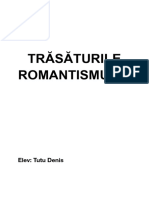 Trasaturile Romantismului