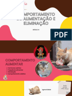 Material de Apoio - Slides 3