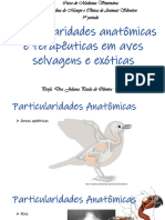 Particularidades Anatômicas Das Aves Aula