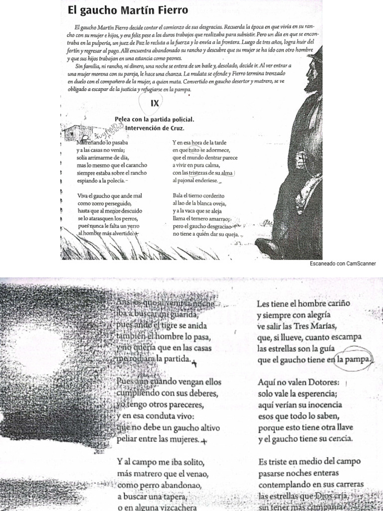 Diferentes Análisis Del Martin Fierro Pdf