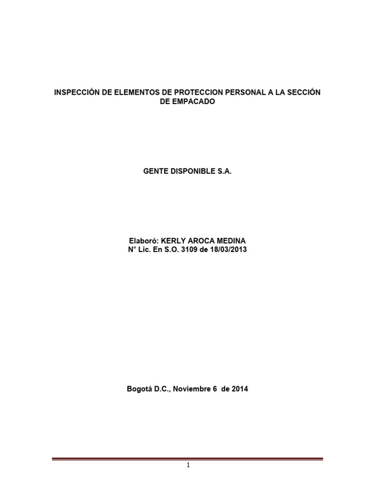 Inspeccion de Epp | PDF