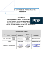 Plan de SST