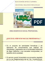 Guia Servicio Social Profesional