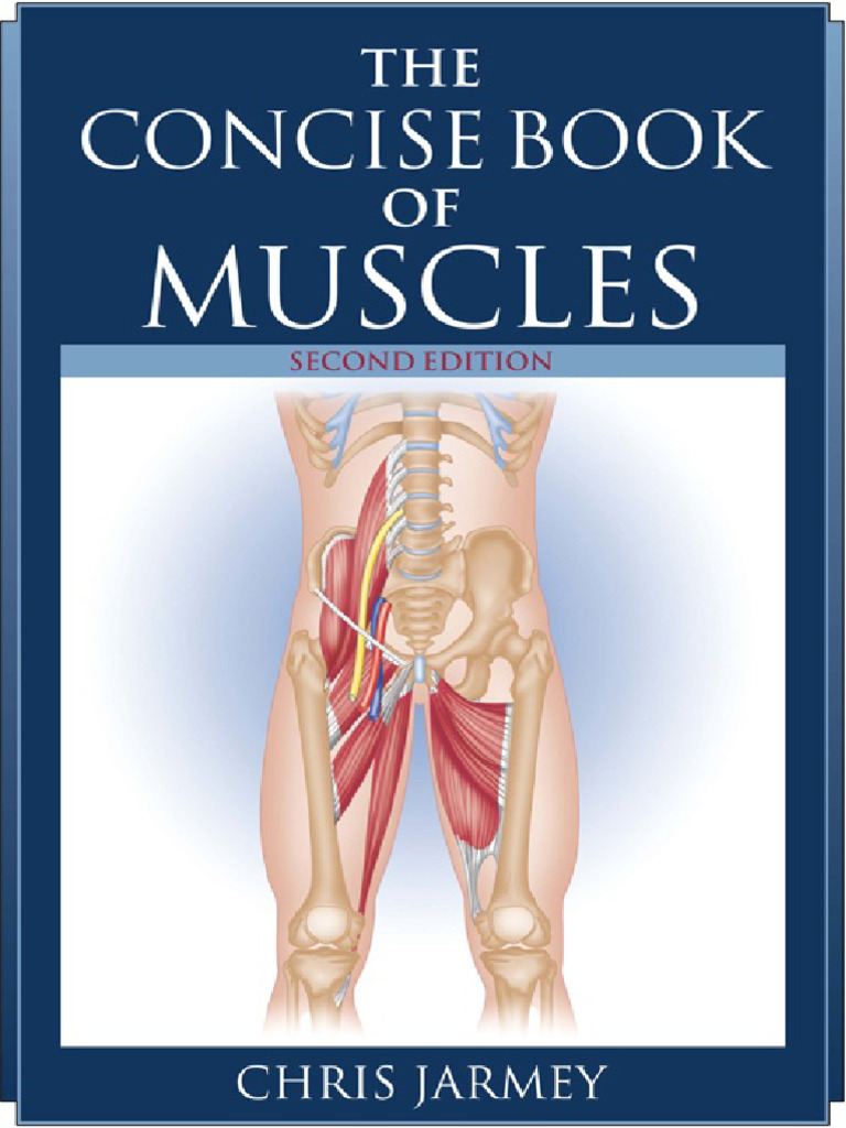 The Concise Book of Muscles | PDF