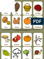 Flashcards Otoño