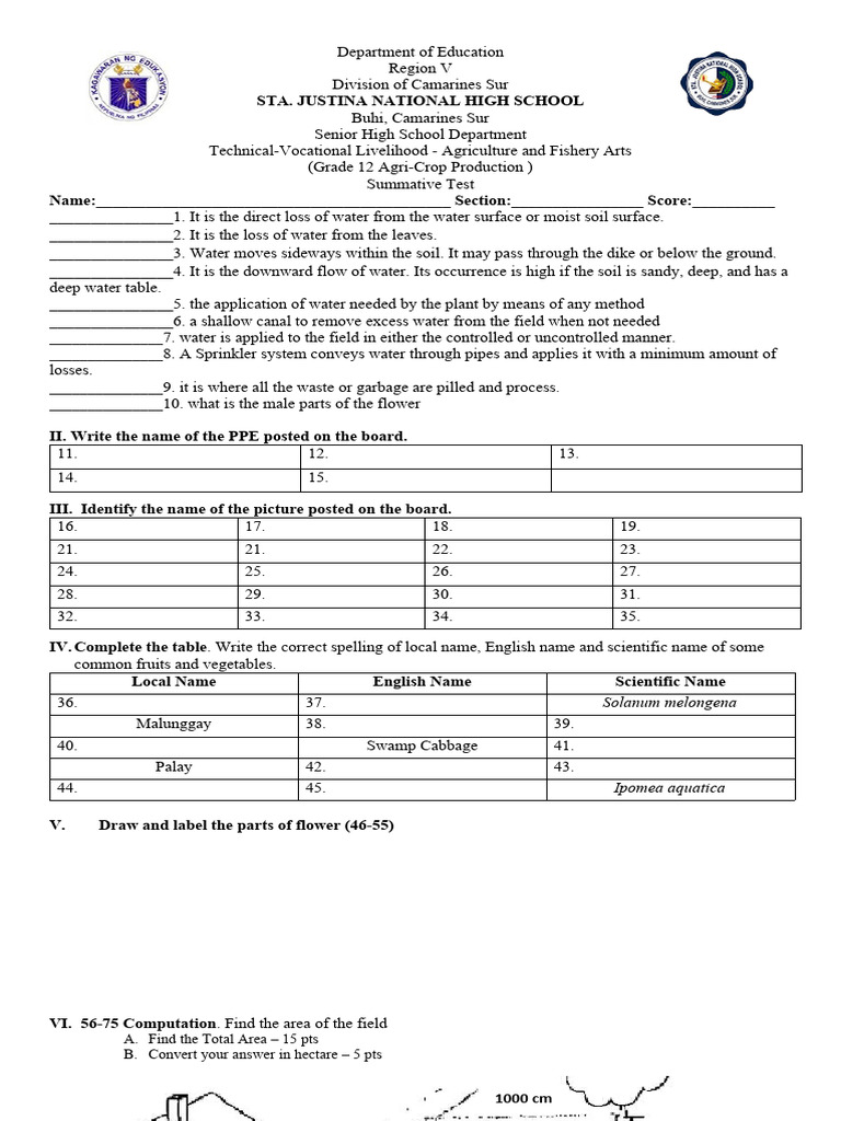 g12 Summative Test | Download Free PDF | Fertilizer | Soil