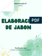 Jabon de Tecnia