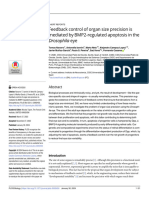 Feedback Control of Organ Size Precision Is Mediated by BMP2-regulated Apoptosis in The Drosophila Eye