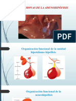 Hormonas de La Adenohipófisis