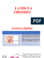 6 Glandula Tiroides