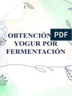 Fermentacion Del Yogurt