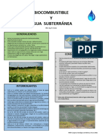 9. Poster Biocombustible 2018