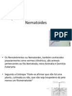 Aula Nematoides Resumida