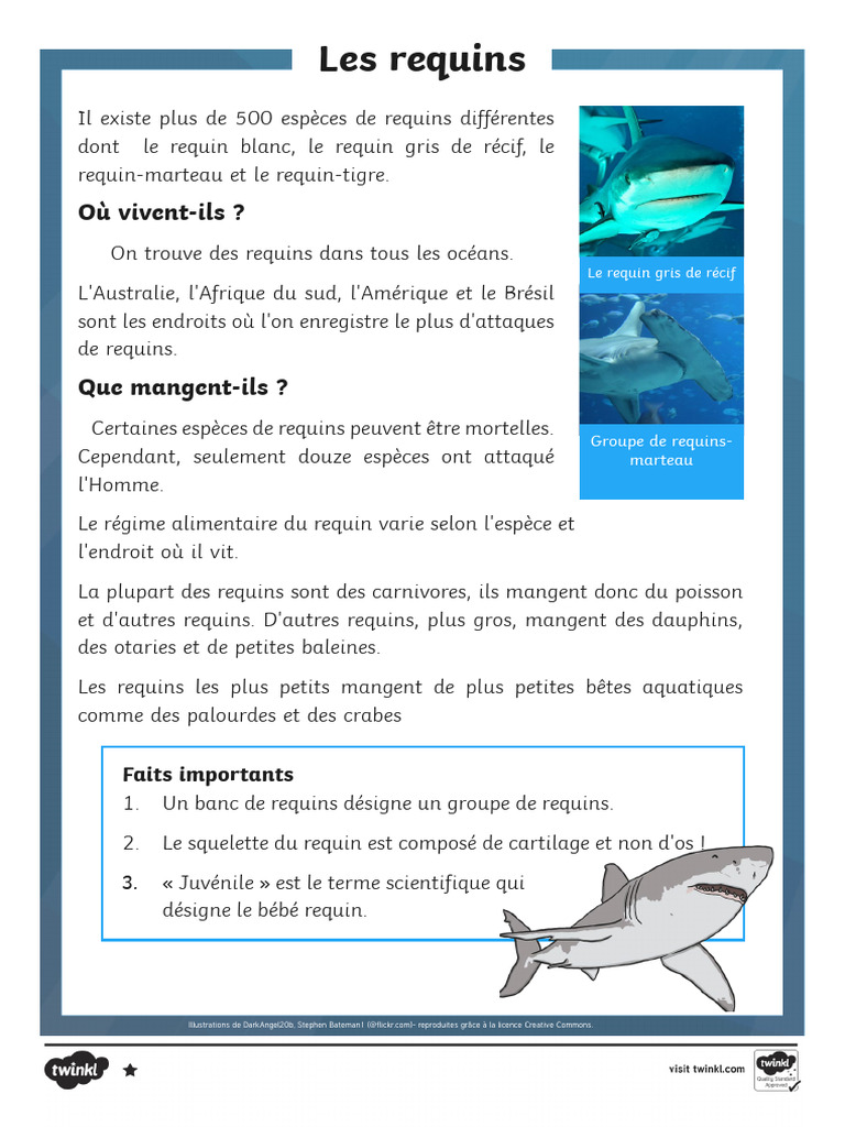 Les Requins : Espèces et Régime Alimentaire | PDF | Sciences et ...