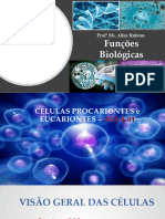 Células Procarionte e Eucarionte (Organelas)