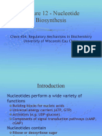 Biosynthesis of Nucleic Acids Bbiochem