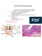 Tecido Epitelial de Revestimento Resumo