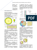 Bioquímica - 7 Absorção de Lipídios, Beta Oxidação, Grupos Cetônicos