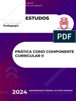 Guia Pratica Componente Curricular II