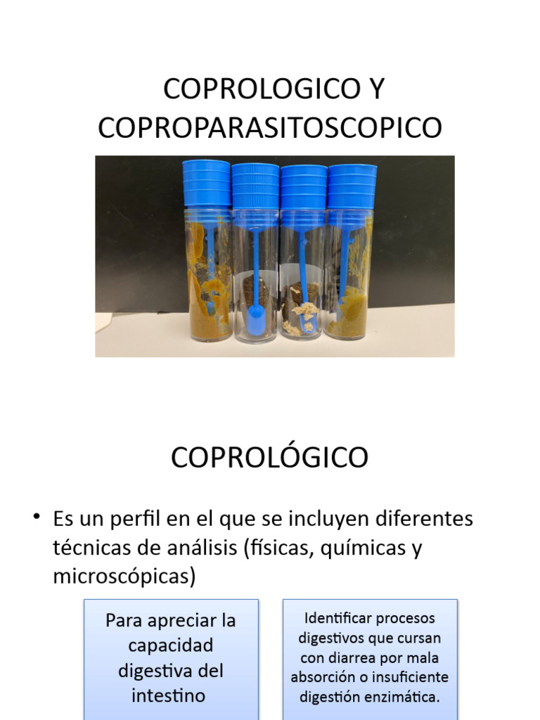 Diferencias entre coprológico y coproparasitoscópico | PDF | Heces ...