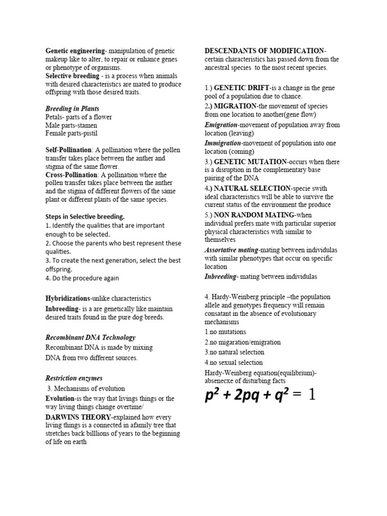 Genetic Engineering and Evolution Basics | PDF | Philosophy | Science ...