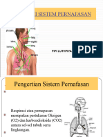 Anatomi Pernafasan 2023
