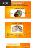Colocación de Neumokit y Válvula Heimlich | PDF | Enfermedades y ...